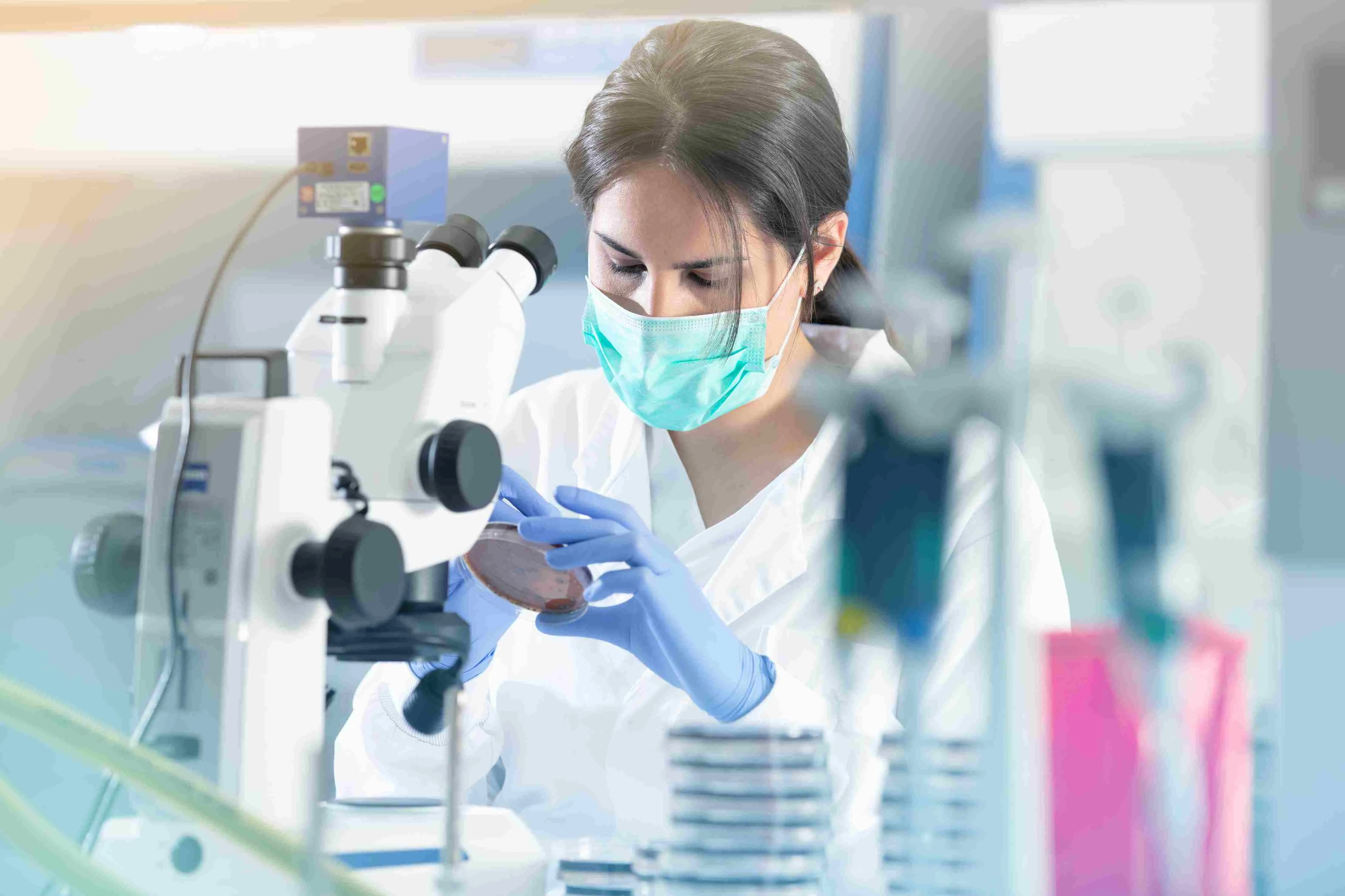 1. Investigación Image